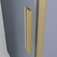 Душевая дверь Veconi Ottimo P20 G, 1000x1900, золото брашинг, стекло прозрачное