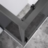 Душевой уголок Слим-Н (Слим-Н (Slim-N)) VSR-4SN9012CGGM, 1200*900, вороненая сталь, стекло тонированное