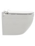AQM2006 Унитаз подвесной с сиденьем SoftClose, технология смыва Rimless, скрытый крепеж. 520х360х410