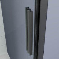 Душевая дверь Veconi Ottimo P20 GR, 1000x1900, графит брашинг, стекло прозрачное