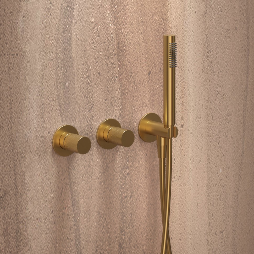 Душевой комплект Аура (Aura) VSFW-6AU1BG встраиваемый, 2 режима, 30см S304 верх душ, браш.золото