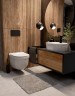 AQM2010 Унитаз подвесной сиденье SoftClose, технология смыва QUIET, скрытый крепеж. 520х360х410