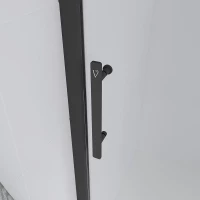 Душевая дверь Veconi Evo 100 B, 1000x1950, черный матовый, стекло тонированное матовое
