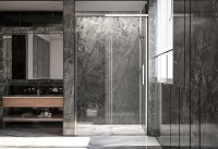 Душевая дверь Veconi Premium Trento PTD-40CH, 1200х2000, хром, стекло прозрачное