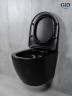 Унитаз подвесной Tornado Gid Tr2122TF-Bm 62261Y черный матовый 49x36x36