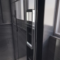 Душевая дверь Veconi Premium Trento PTD-40CH, 1300х2000, хром, стекло прозрачное