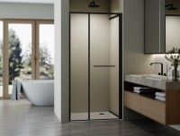 Душевая дверь Альфа (Alpha) VPSW-3AL100CLB, 1000, черный, стекло прозрачное