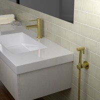 Смеситель для раковины с гигиеническим душем Timo Saona 2360/17G золото матовое