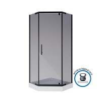 Душевой уголок Niagara Eco NG-010-14DT (100х100х195) низкий поддон(13см),черный,стекло тонированное,2 места