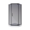 Душевой уголок Niagara Eco NG-010-14DT (100х100х195) низкий поддон(13см),черный,стекло тонированное,2 места