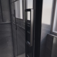 Душевая дверь Veconi Premium Trento PTD-40B, 1200х2000, черный матовый, стекло прозрачное