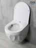 Унитаз подвесной Tornado Gid Tr2196TFX 62263Y белый 49x35.5x34