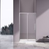 Душевая дверь Slim-N VDP-4SN100CL, хром, стекло прозрачное