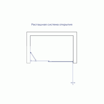 Душевая дверь RGW HO-012 1000