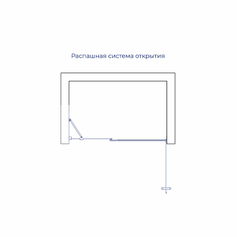 Душевая дверь RGW HO-012 1000