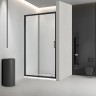 Душевая дверь Veconi Vianno VN-46B, 1250x1950, черный, стекло прозрачное