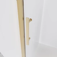 Душевая дверь Veconi Evo 100 G, 1200x1950, золото брашинг, стекло прозрачное
