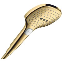 Ручной душ Hansgrohe Raindance Select, цвет: золото 120 Аir 26520990