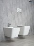 Унитаз подвесной Gid Tr2143 62257Y белый 49x34x36