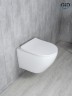 Унитаз подвесной Tornado Gid Tr2122TF 62258Y белый 49x36x36