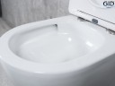 Унитаз подвесной Tornado Gid Tr2122TF 62258Y белый 49x36x36