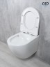 Унитаз подвесной Tornado Gid Tr2122TF 62258Y белый 49x36x36
