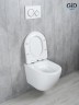 Унитаз подвесной Tornado Gid Tr2122TF 62258Y белый 49x36x36