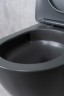 Унитаз подвесной Tornado Gid Tr2122TF-Dgm 62260Y серый матовый 49x36x36