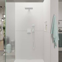 Ручной душ Hansgrohe Raindance Select E 26520700