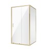 Душевое ограждение Niagara Nova NG-42-10AG-A80G (100х80х195) прямоугольник,золото,двери раздвижные,стекло прозрачное,2 места