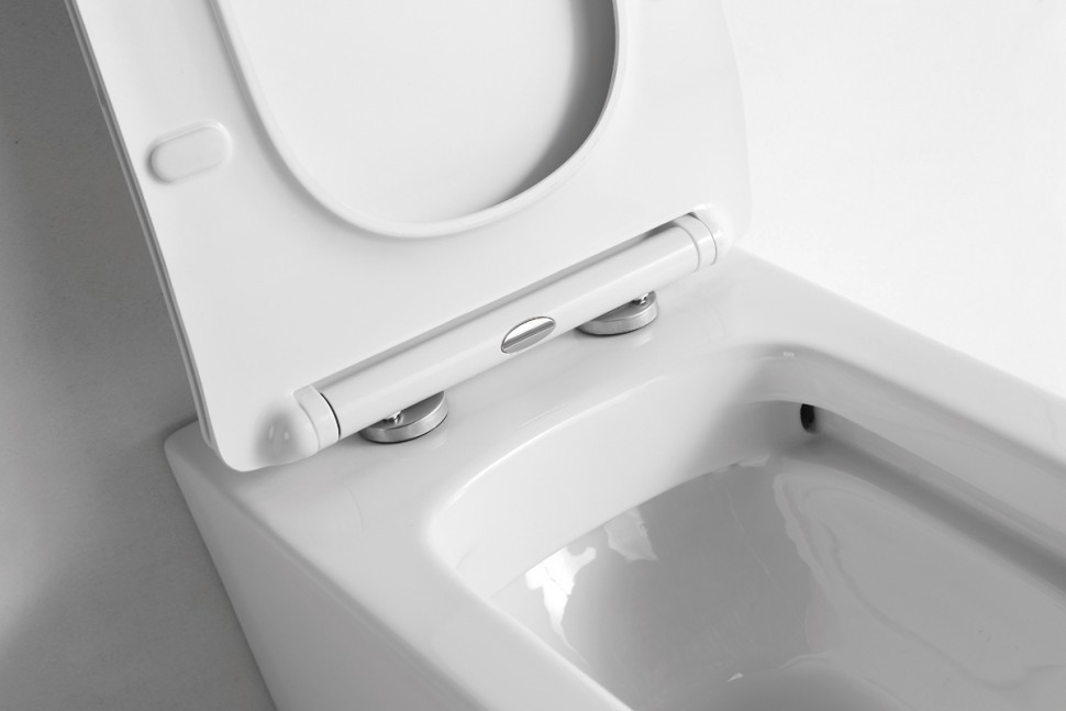 Унитаз приставной CeramaLux 3170