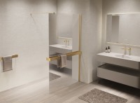 Душевая перегородка Walk-In VSW-1HR900MRG, 900*2000, матовый золотой, стекло зеркальное