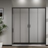 Душевая дверь Сити (City) VDS-5CT2170CLB, 1700, черный, стекло прозрачное