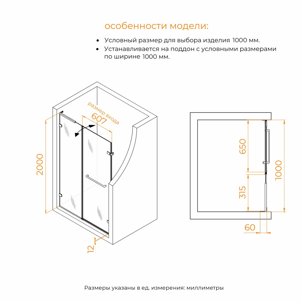 Душевая дверь RGW SV-006Nb (Прозрачное, 1000мм)