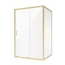 Душевое ограждение Niagara Nova NG-42-12AG-A90G (120х90х195) прямоугольник,золото,двери раздвижные,стекло прозрачное,2 места