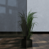 Душевая перегородка RGW WA-010 (351001010-31)