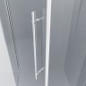Душевое ограждение Ambassador Ritz 112011103 (100х100х200) трапеция,хром,стекло прозрачное,распашная,1 место