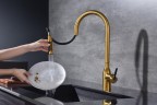 Смеситель для кухни Universal, брашированное золото, Un213880-BG, Paulmark