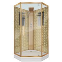 Душевая кабина Niagara Luxe NG-7717GBK (100x100х210) низкий поддон(15см),дверь распашная,стенки золото,без крыши,4 места