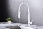 Смеситель для кухни HALT, белый матовый, Ha214021-WH, Paulmark
