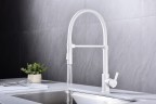 Смеситель для кухни HALT, белый матовый, Ha214021-WH, Paulmark
