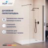 Душевая перегородка RGW WA-210B (351021010-14)