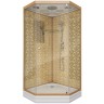 Душевая кабина Niagara Luxe NG-7701DG (90x90х210) низкий поддон(15см),дверь распашная,стенки золото,3 места