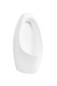Подвесной писсуар Gid Q9501 91105 белый 35x31x70