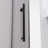 Душевая дверь распашная Veconi Premium Alassio B, 1300х2000, черный матовый, стекло прозрачное осветленное