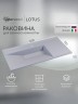 Раковина для ванной кварцевая Uperwood Lotus Quartz 100х50х13 см, белая матовая, жасмин