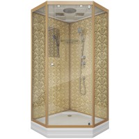 Душевая кабина Niagara Luxe NG-7702DG (100x100х210) низкий поддон(15см),дверь распашная,стенки золото,3 места