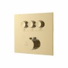 Душевой комплект VSFW-4311RBG встраиваемый, трехрежимный, брашированное золото