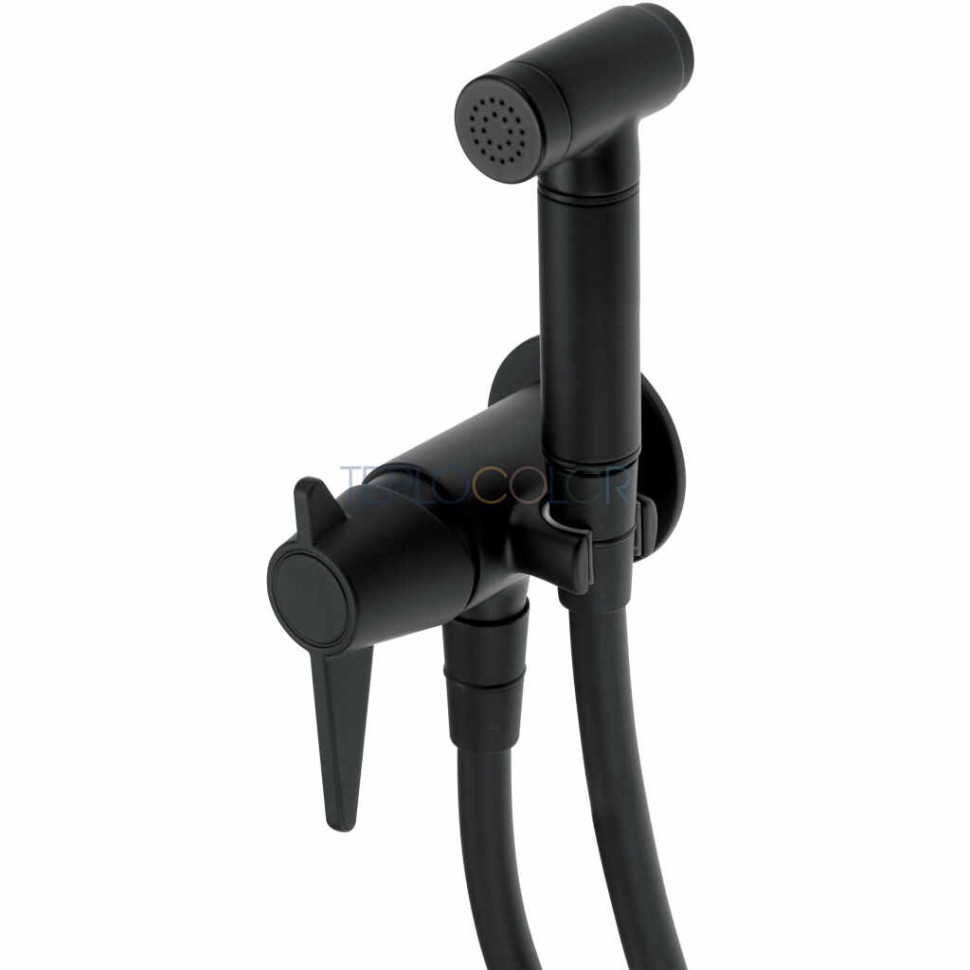 Смеситель для биде, скрытого монтажа, с лейкой типа бидетта