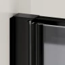 Душевая дверь RGW PA-14B (Матовый графит, 1600мм)